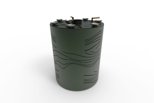 Хумай фото в Москве